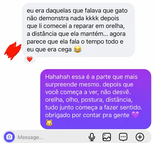 Mensagem de cliente: eu era daquelas que falava que gato não demonstra nada, depois que li comecei a reparar em orelha, distância, e agora parece que ela fala o tempo todo